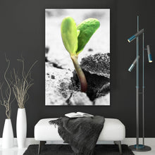 Lade das Bild in den Galerie-Viewer, Poster Grüner Keimling wächst aus rissiger Straße Hochformat