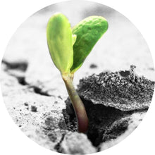 Lade das Bild in den Galerie-Viewer, Aluminiumbild gebürstet Grüner Keimling wächst aus rissiger Straße Kreis