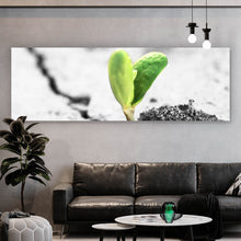 Lade das Bild in den Galerie-Viewer, Spannrahmenbild Grüner Keimling wächst aus rissiger Straße Panorama