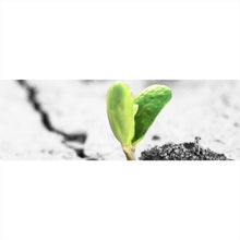 Lade das Bild in den Galerie-Viewer, Leinwandbild Grüner Keimling wächst aus rissiger Straße Panorama