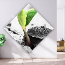 Lade das Bild in den Galerie-Viewer, Acrylglasbild Grüner Keimling wächst aus rissiger Straße Raute