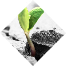 Lade das Bild in den Galerie-Viewer, Acrylglasbild Grüner Keimling wächst aus rissiger Straße Raute