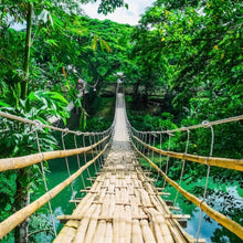 Lade das Bild in den Galerie-Viewer, Acrylglasbild Hängebrücke im Dschungel Quadrat