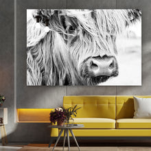 Lade das Bild in den Galerie-Viewer, Poster Highland Rind Querformat