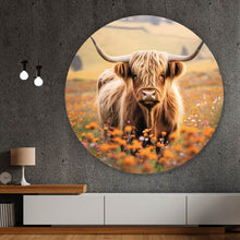 Lade das Bild in den Galerie-Viewer, Aluminiumbild gebürstet Highland Rind auf der Weide Kreis