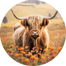 Lade das Bild in den Galerie-Viewer, Aluminiumbild gebürstet Highland Rind auf der Weide Kreis