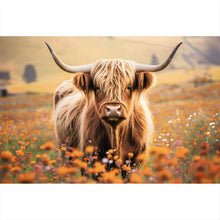 Lade das Bild in den Galerie-Viewer, Poster Highland Rind auf der Weide Querformat