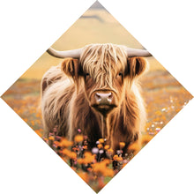 Lade das Bild in den Galerie-Viewer, Spannrahmenbild Highland Rind auf der Weide Raute