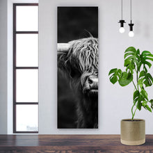 Lade das Bild in den Galerie-Viewer, Acrylglasbild Highland Rind Schwarz-Weiß Panorama Hoch