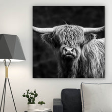 Lade das Bild in den Galerie-Viewer, Leinwandbild Highland Rind Schwarz-Weiß Quadrat