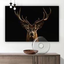 Lade das Bild in den Galerie-Viewer, Leinwandbild Hirsch auf Schwarz Querformat