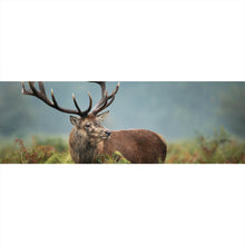 Lade das Bild in den Galerie-Viewer, Aluminiumbild gebürstet Hirsch im Farn Panorama