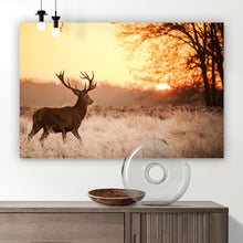 Lade das Bild in den Galerie-Viewer, Poster Hirsch im Sonnenuntergang Querformat