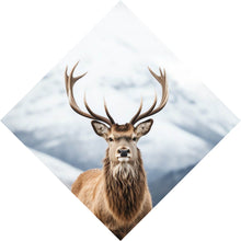 Lade das Bild in den Galerie-Viewer, Spannrahmenbild Hirsch vor schneebedeckten Berglandschaft Raute