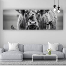 Lade das Bild in den Galerie-Viewer, Aluminiumbild Hochlandrind mit Vögeln und Fuchs Panorama