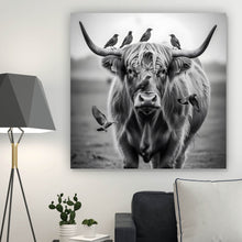 Lade das Bild in den Galerie-Viewer, Aluminiumbild Hochlandrind mit Vögeln und Fuchs Quadrat