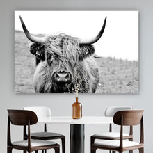 Lade das Bild in den Galerie-Viewer, Aluminiumbild gebürstet Hochlandrind Schwarz Weiß Querformat