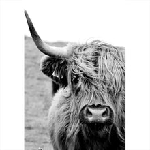 Lade das Bild in den Galerie-Viewer, Poster Hochlandrind Schwarz Weiß Hochformat