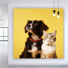 Lade das Bild in den Galerie-Viewer, Aluminiumbild gebürstet Hund und Katze vor gelbem Hintergrund Quadrat