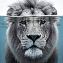 Lade das Bild in den Galerie-Viewer, Poster Imposanter Löwe unter Wasser Quadrat