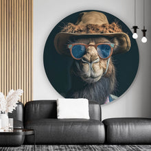 Lade das Bild in den Galerie-Viewer, Aluminiumbild Kamel mit Hut und Sonnenbrille Kreis
