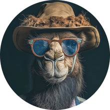Lade das Bild in den Galerie-Viewer, Aluminiumbild Kamel mit Hut und Sonnenbrille Kreis