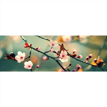 Lade das Bild in den Galerie-Viewer, Poster Kirschblüten am Ast Panorama