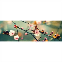 Lade das Bild in den Galerie-Viewer, Leinwandbild Kirschblüten am Ast Panorama