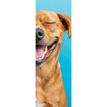 Lade das Bild in den Galerie-Viewer, Leinwandbild Lachende Tiere vor blauen Hintergrund Panorama Hoch