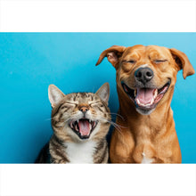 Lade das Bild in den Galerie-Viewer, Aluminiumbild gebürstet Lachende Tiere vor blauen Hintergrund Querformat