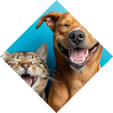 Lade das Bild in den Galerie-Viewer, Poster Lachende Tiere vor blauen Hintergrund Raute