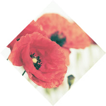 Lade das Bild in den Galerie-Viewer, Spannrahmenbild Leuchtend rote Mohnblumen im sanften Morgenlicht Raute