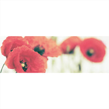 Lade das Bild in den Galerie-Viewer, Aluminiumbild Leuchtend rote Mohnblumen im sanften Morgenlicht Panorama