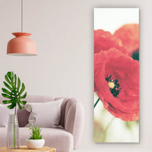 Lade das Bild in den Galerie-Viewer, Aluminiumbild gebürstet Leuchtend rote Mohnblumen im sanften Morgenlicht Panorama Hoch