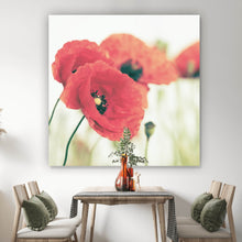 Lade das Bild in den Galerie-Viewer, Poster Leuchtend rote Mohnblumen im sanften Morgenlicht Quadrat