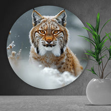Lade das Bild in den Galerie-Viewer, Aluminiumbild gebürstet Luchs im verschneiten Winterwald Kreis