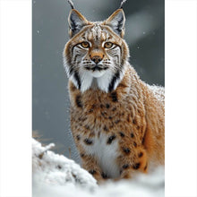 Lade das Bild in den Galerie-Viewer, Acrylglasbild Luchs im verschneiten Winterwald No.2 Hochformat