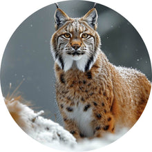 Lade das Bild in den Galerie-Viewer, Aluminiumbild Luchs im verschneiten Winterwald No.2 Kreis