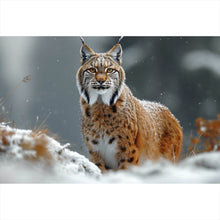 Lade das Bild in den Galerie-Viewer, Spannrahmenbild Luchs im verschneiten Winterwald No.2 Querformat