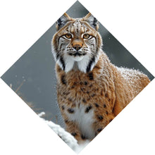 Lade das Bild in den Galerie-Viewer, Leinwandbild Luchs im verschneiten Winterwald No.2 Raute