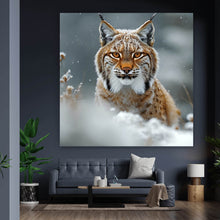 Lade das Bild in den Galerie-Viewer, Spannrahmenbild Luchs im verschneiten Winterwald Quadrat