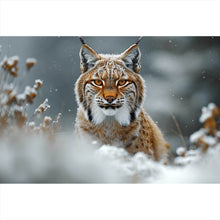 Lade das Bild in den Galerie-Viewer, Leinwandbild Luchs im verschneiten Winterwald Querformat