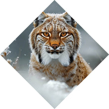 Lade das Bild in den Galerie-Viewer, Leinwandbild Luchs im verschneiten Winterwald Raute