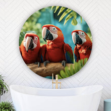 Lade das Bild in den Galerie-Viewer, Aluminiumbild gebürstet Lustige Papageien Gruppe auf einem Ast Kreis