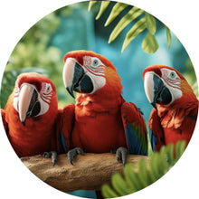 Lade das Bild in den Galerie-Viewer, Aluminiumbild gebürstet Lustige Papageien Gruppe auf einem Ast Kreis