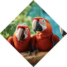 Lade das Bild in den Galerie-Viewer, Poster Lustige Papageien Gruppe auf einem Ast Raute