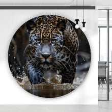 Lade das Bild in den Galerie-Viewer, Aluminiumbild gebürstet Mächtiger Jaguar im Wasser Kreis