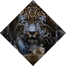 Lade das Bild in den Galerie-Viewer, Aluminiumbild gebürstet Mächtiger Jaguar im Wasser Raute