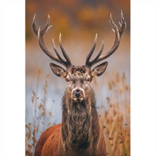 Lade das Bild in den Galerie-Viewer, Spannrahmenbild Majestätischer Hirsch in der Natur Hochformat