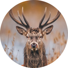 Lade das Bild in den Galerie-Viewer, Aluminiumbild gebürstet Majestätischer Hirsch in der Natur Kreis
